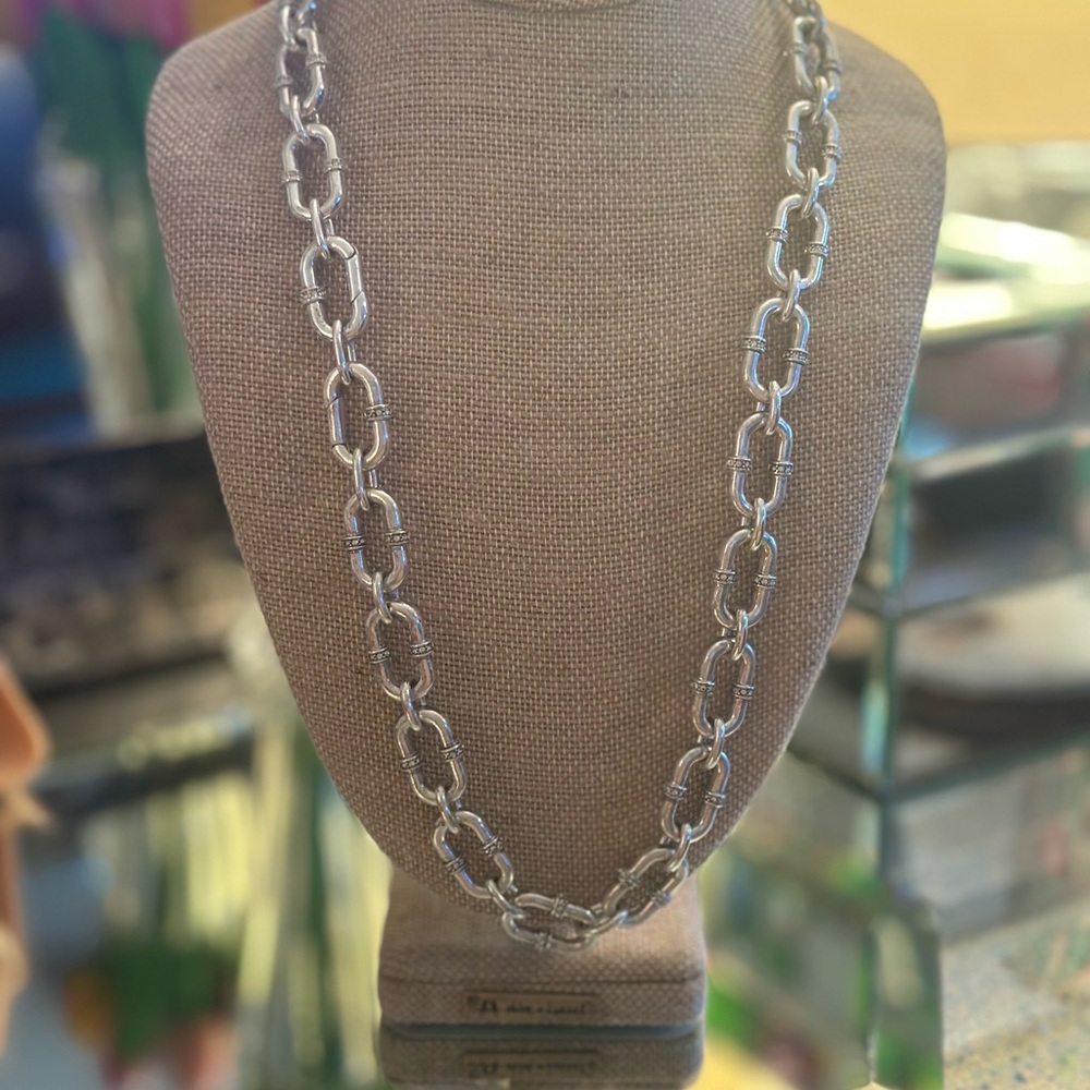 Chloe + Isabel Silver Link Necklace
